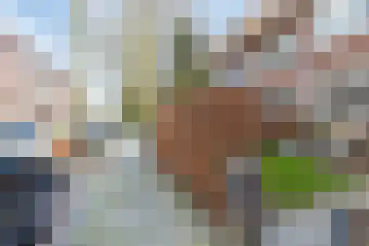 Singel 130 Dordrecht thumbnail 12