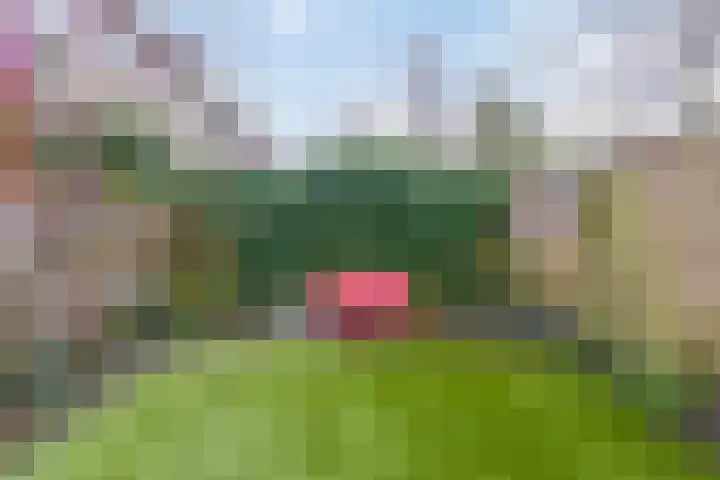 Singel 130 Dordrecht thumbnail 76