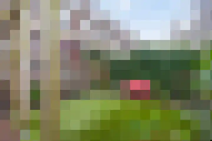 Singel 130 Dordrecht thumbnail 77