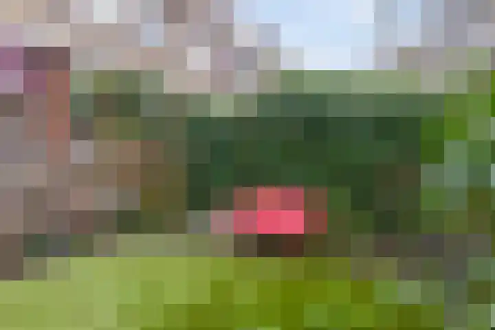 Singel 130 Dordrecht thumbnail 78