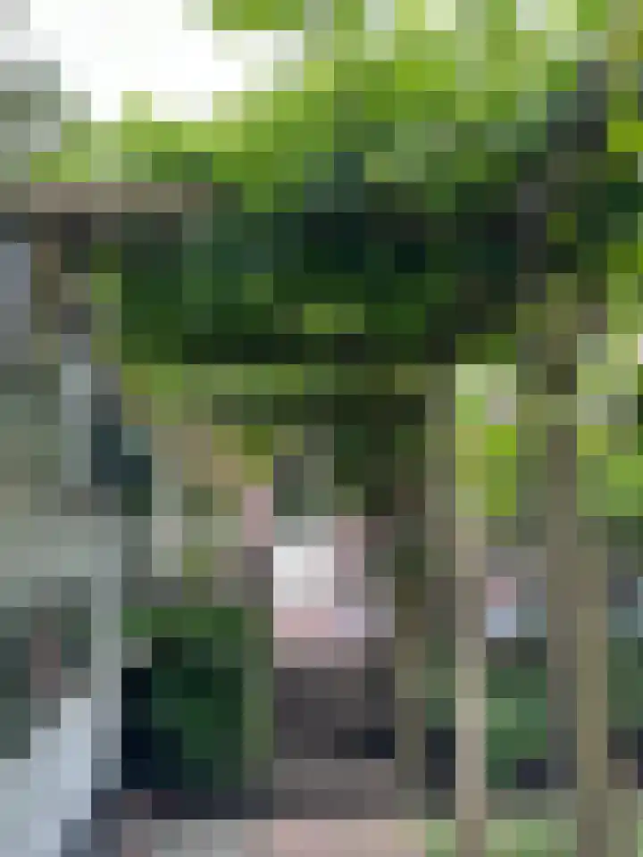 Singel 130 Dordrecht thumbnail 81