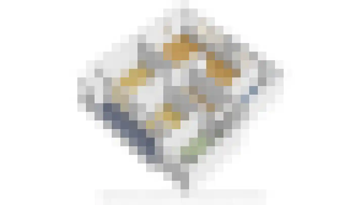 Singel 131 Vlissingen thumbnail 35