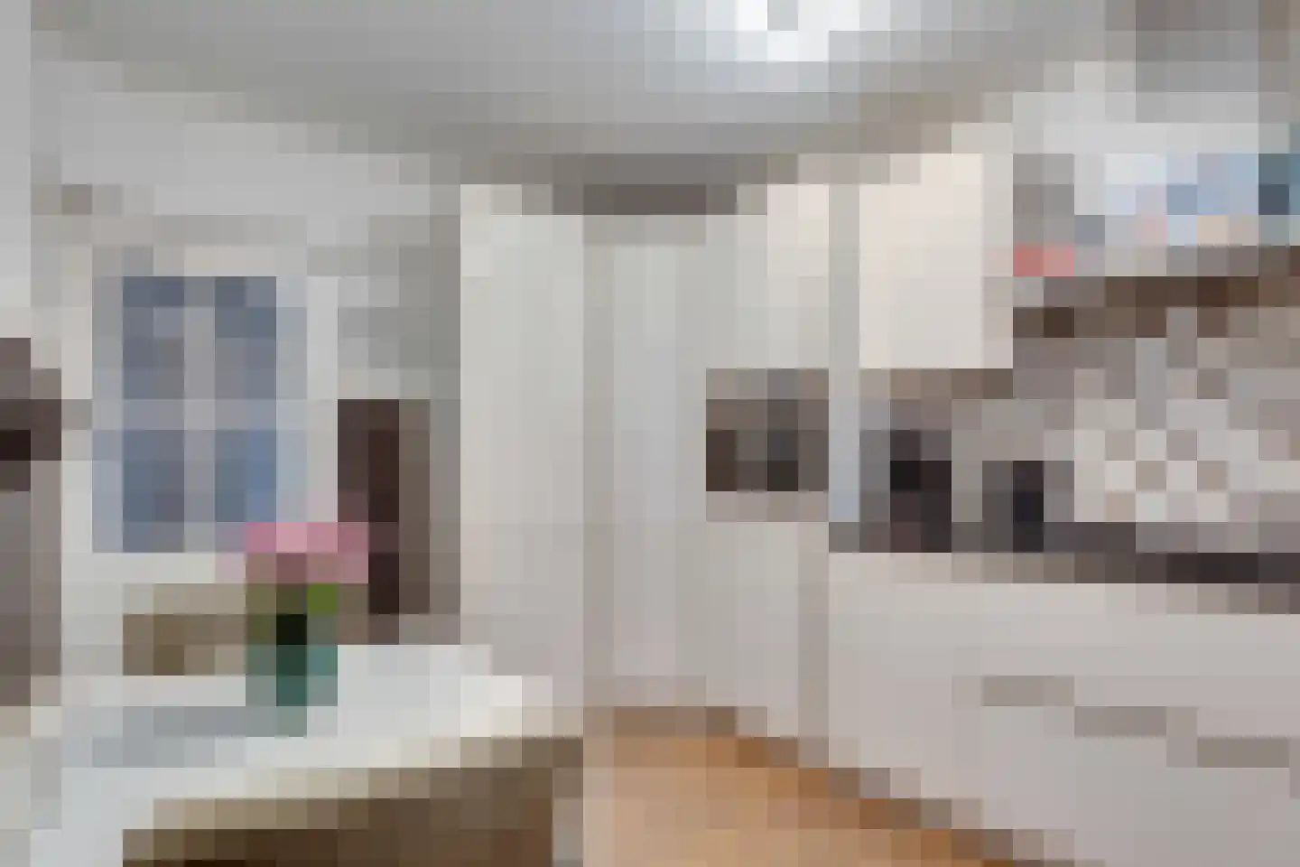 Singel 131 Vlissingen thumbnail 9