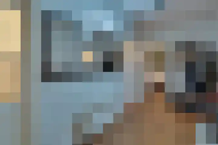 Singel 131 Vlissingen thumbnail 9