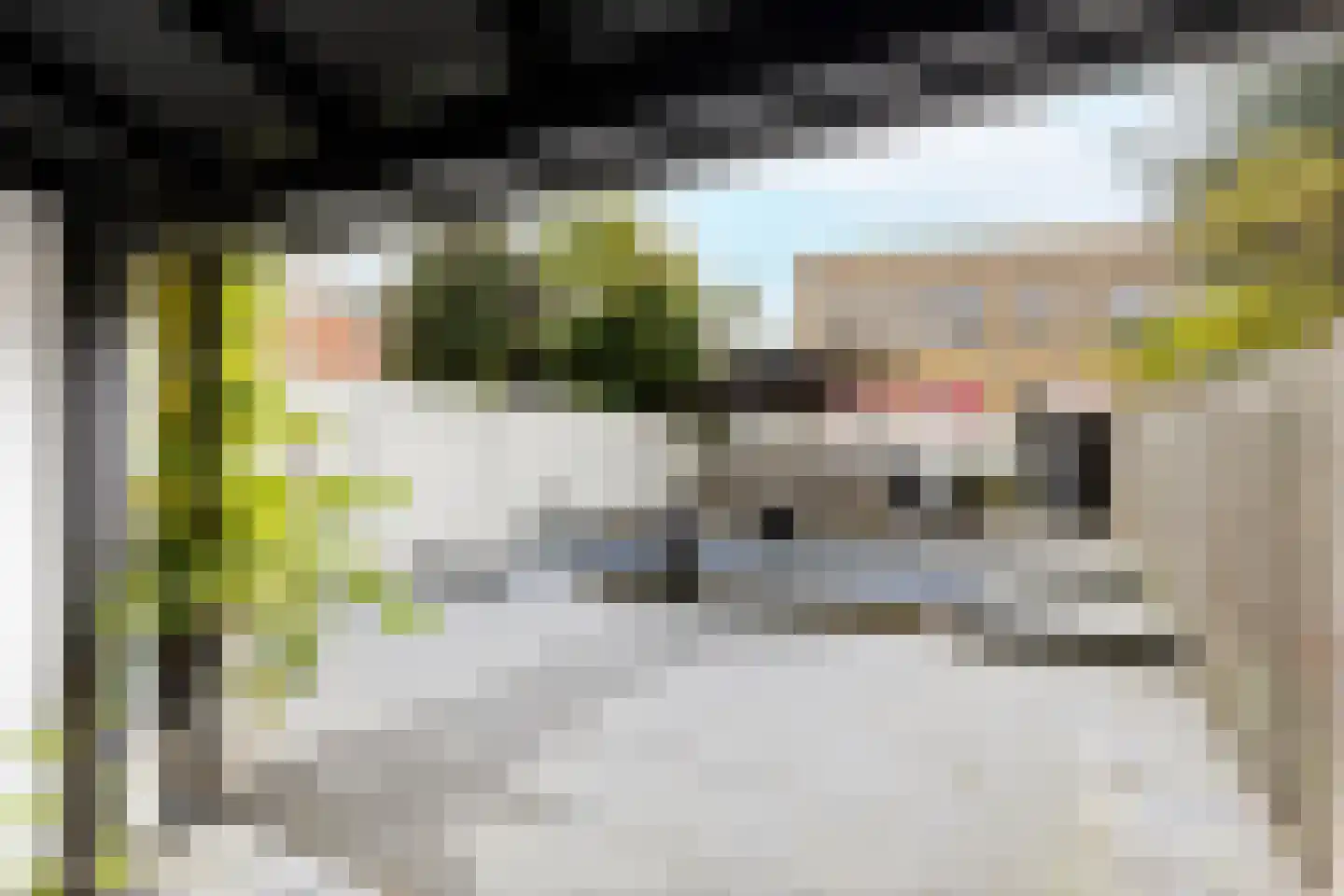 Singel 134 Vlissingen thumbnail 20