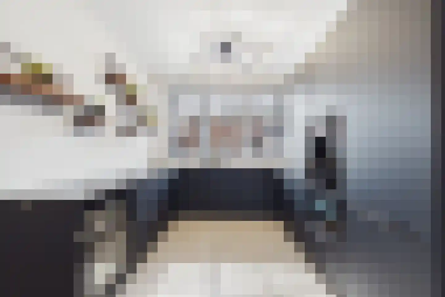 Singel 14 Westdorpe thumbnail 15
