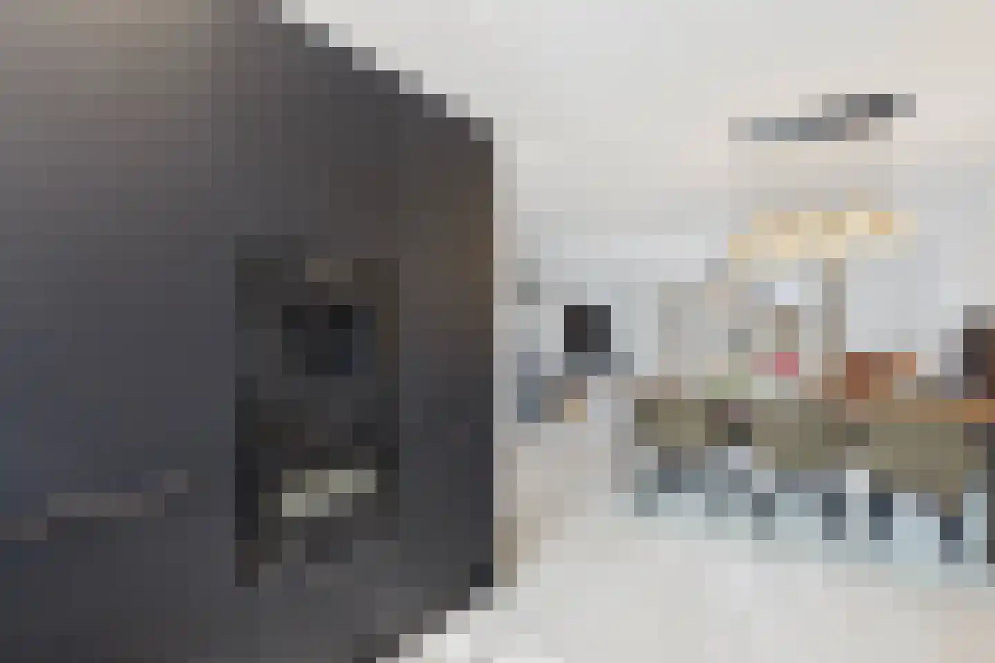 Singel 14 Westdorpe thumbnail 16