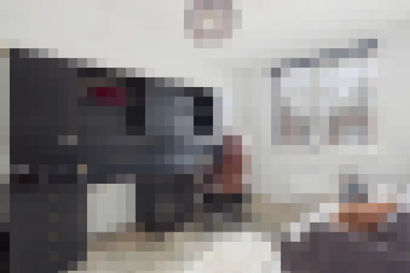 Singel 14 Westdorpe thumbnail 22