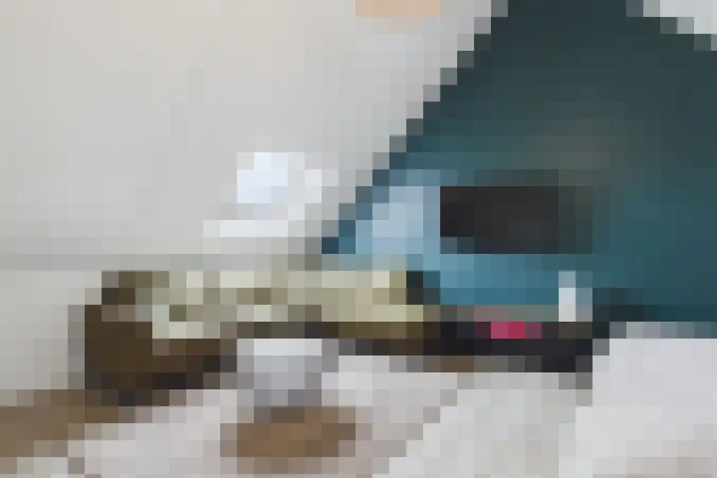 Singel 14 Westdorpe thumbnail 28
