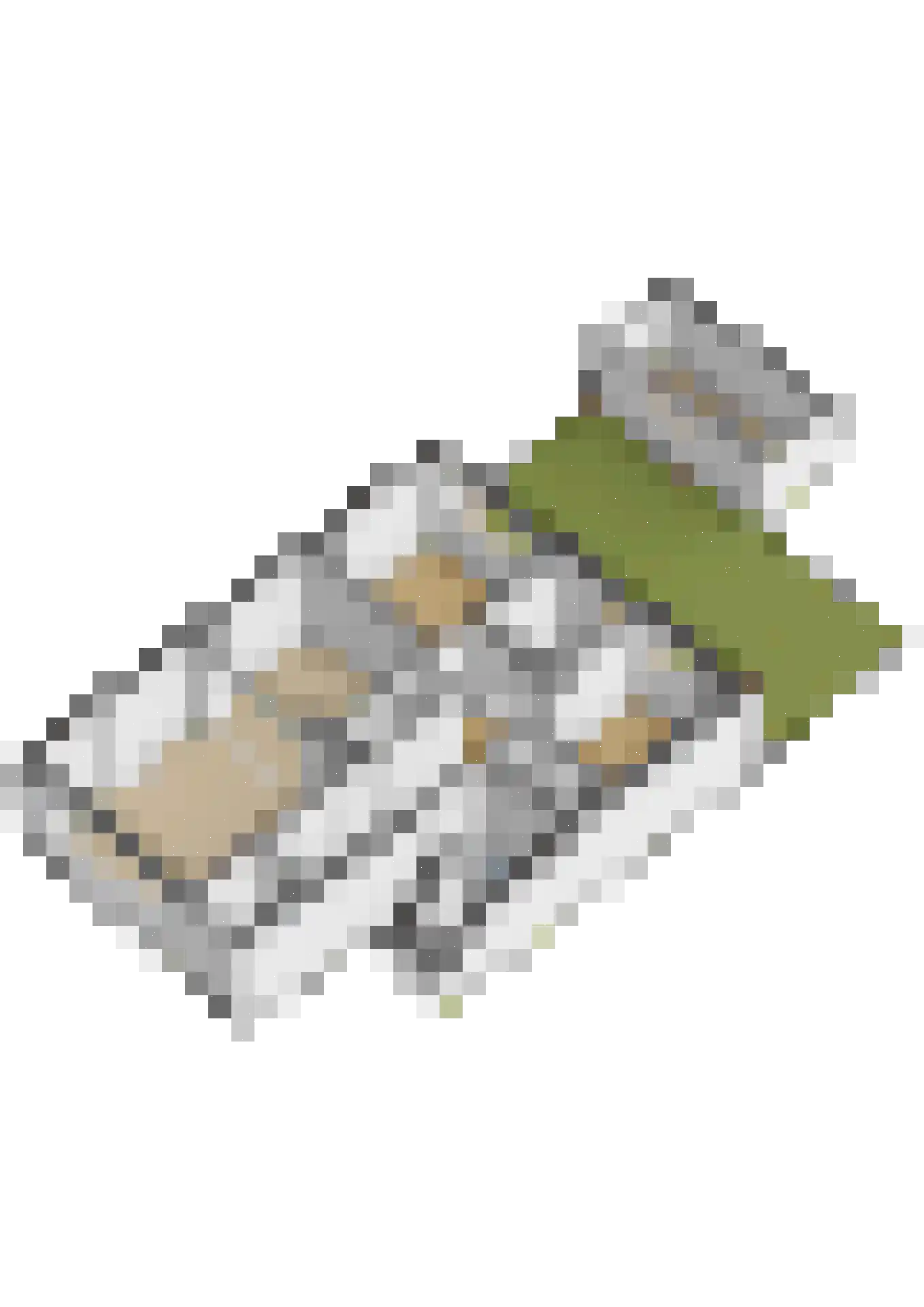 Singel 145 A Schiedam thumbnail 34