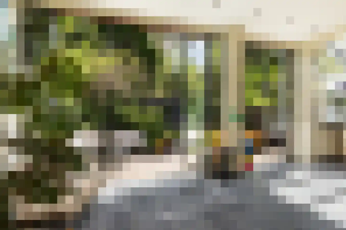 Singel 148 Dordrecht thumbnail 21