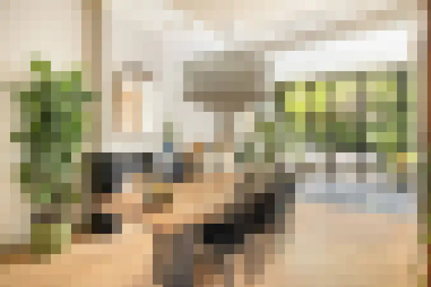 Singel 148 Dordrecht thumbnail 4