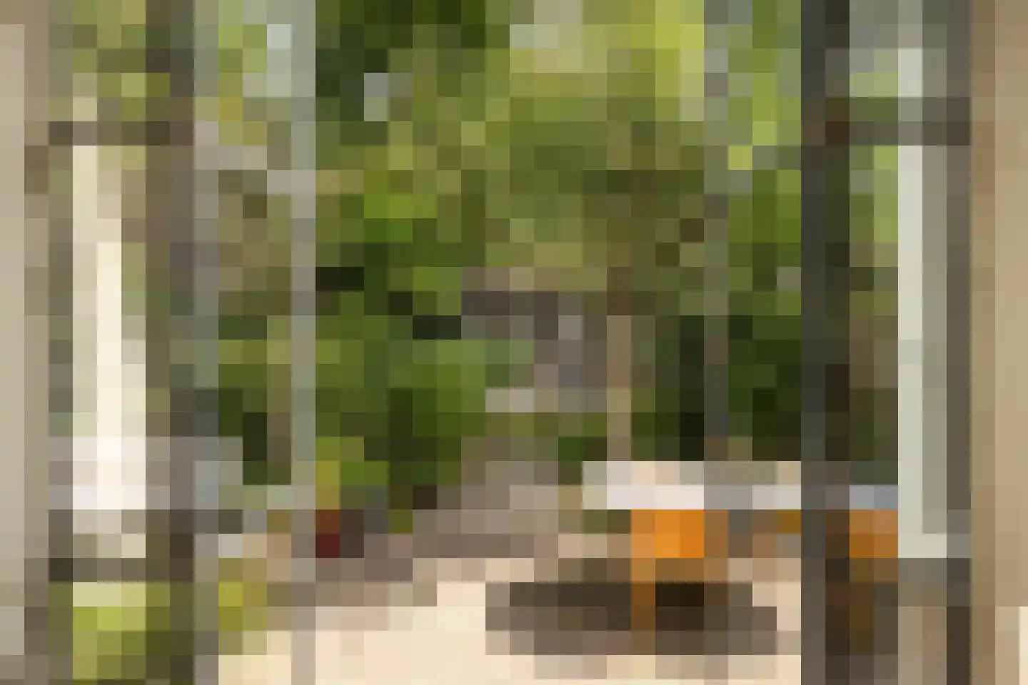 Singel 148 Dordrecht thumbnail 5