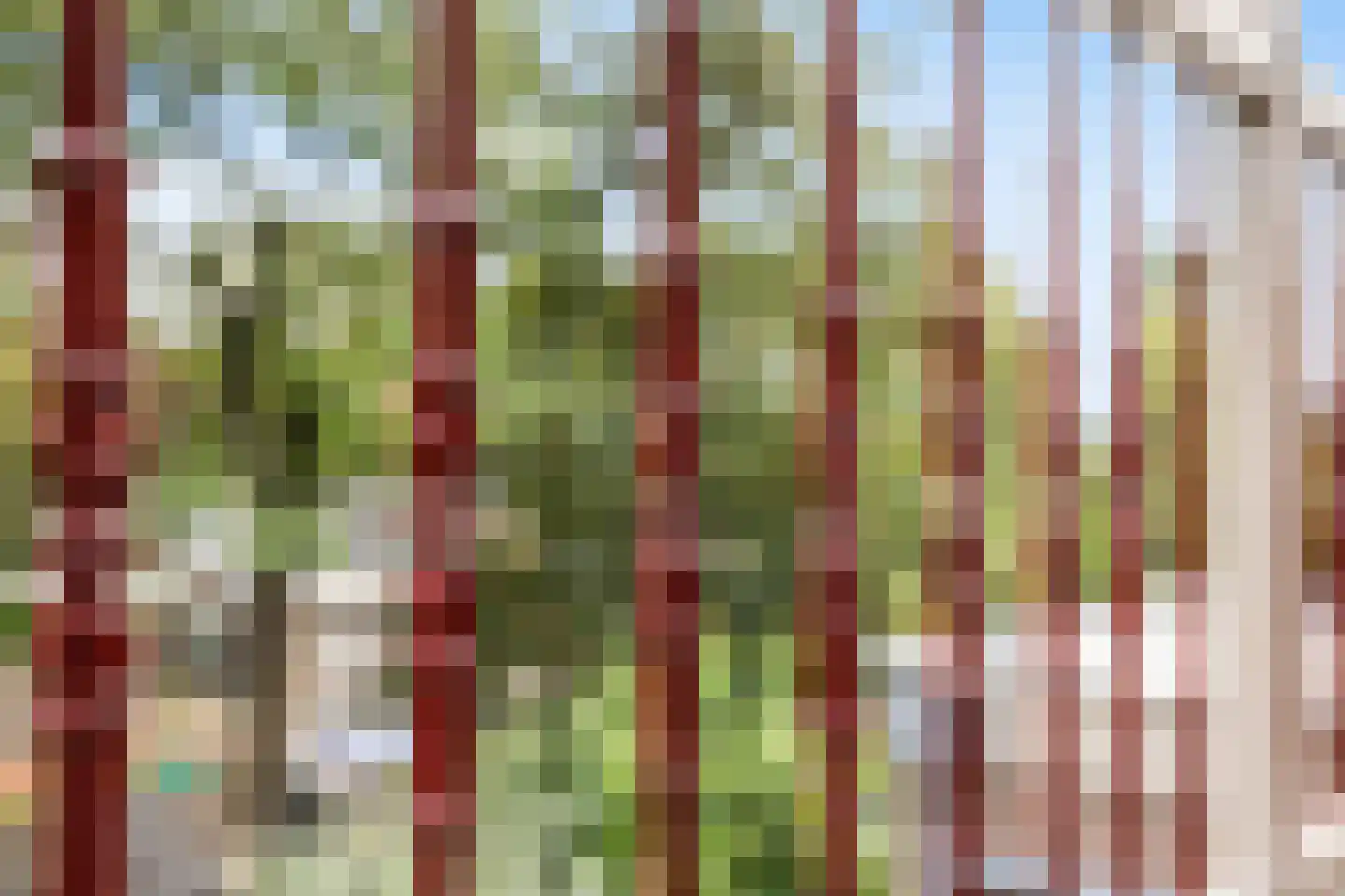 Singel 148 Dordrecht thumbnail 56