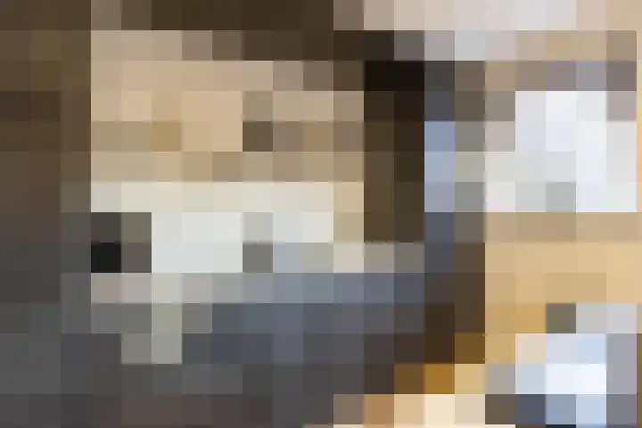 Singel 15 Garyp thumbnail 12