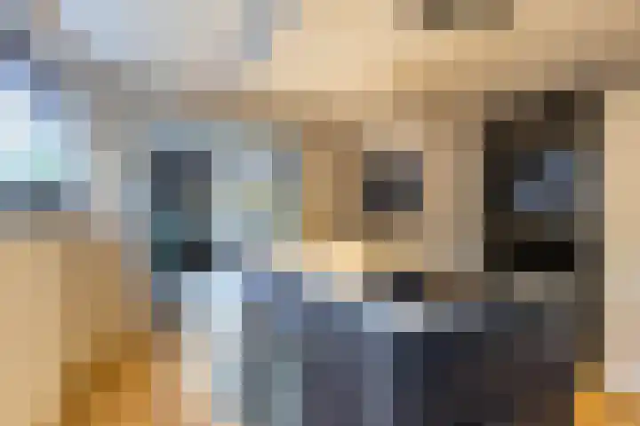 Singel 15 Garyp thumbnail 13