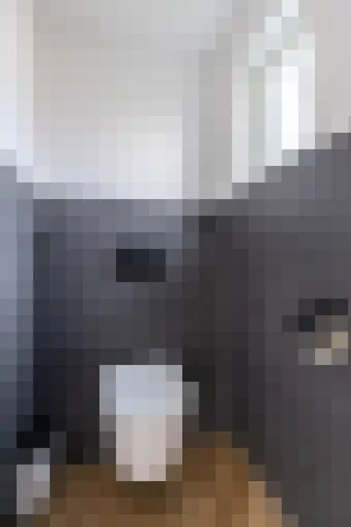 Singel 15 Garyp thumbnail 20