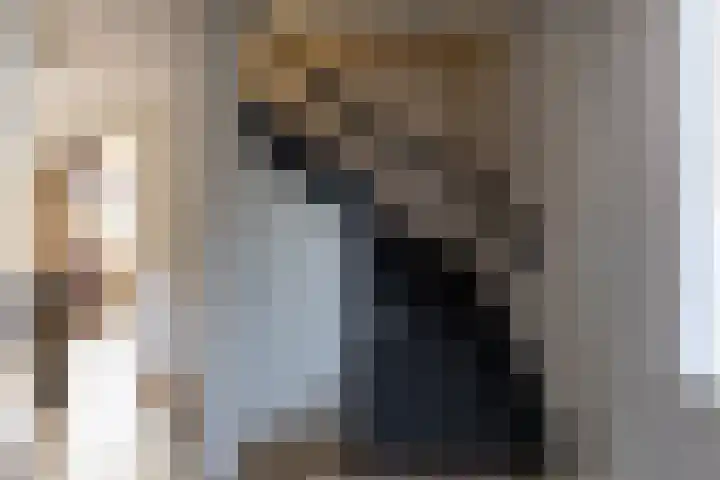 Singel 15 Garyp thumbnail 22
