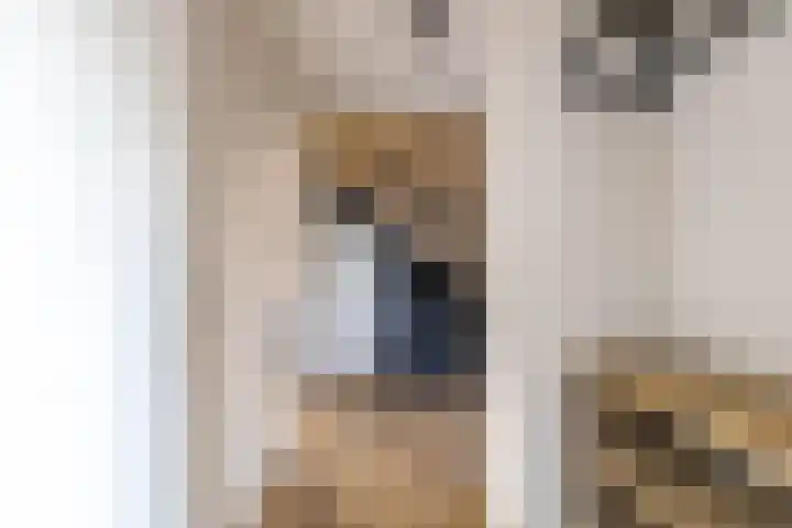 Singel 15 Garyp thumbnail 25