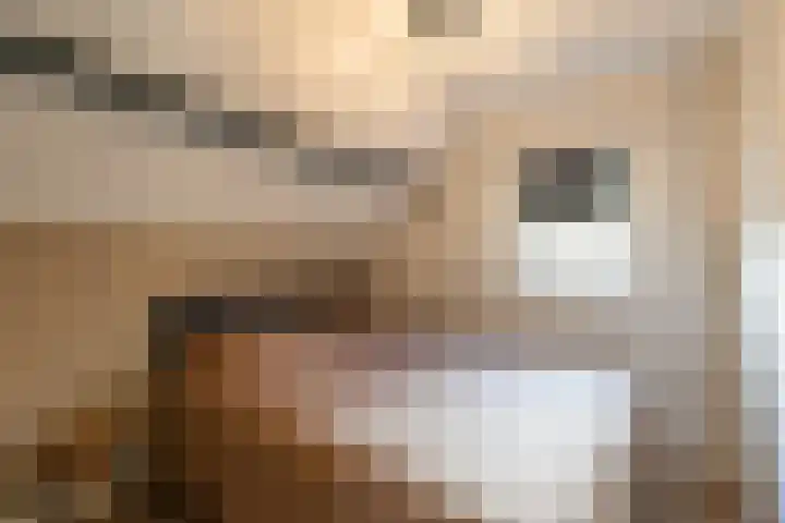 Singel 15 Garyp thumbnail 28