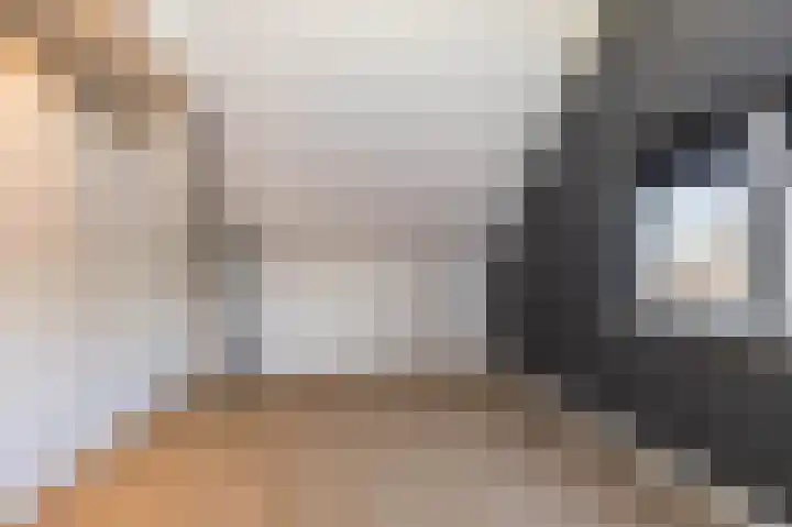 Singel 15 Garyp thumbnail 30