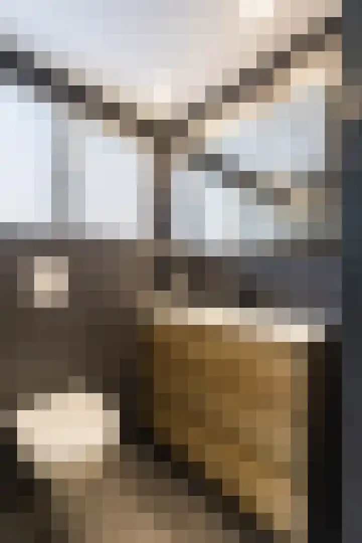 Singel 15 Garyp thumbnail 33