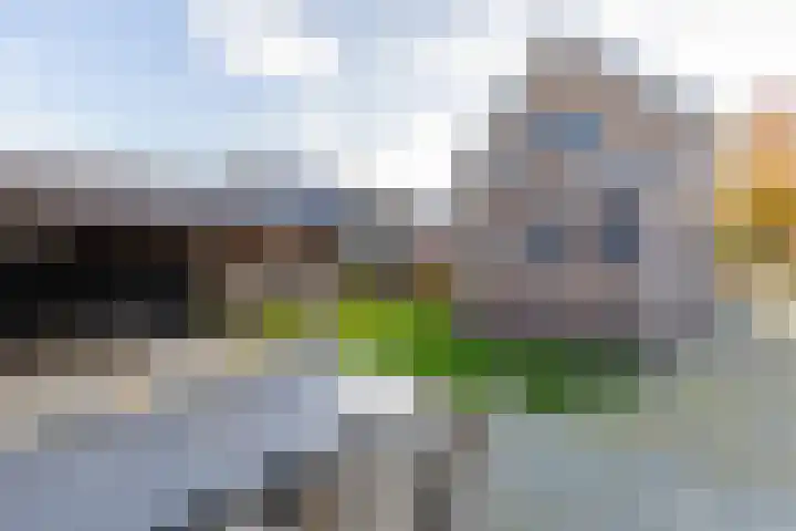 Singel 15 Garyp thumbnail 35