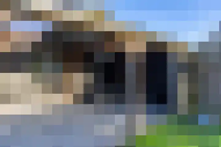 Singel 15 Garyp thumbnail 36