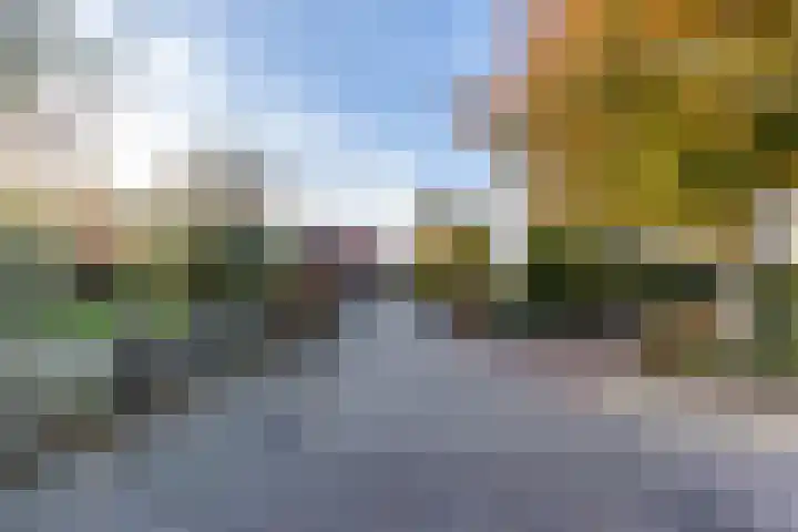 Singel 15 Garyp thumbnail 50