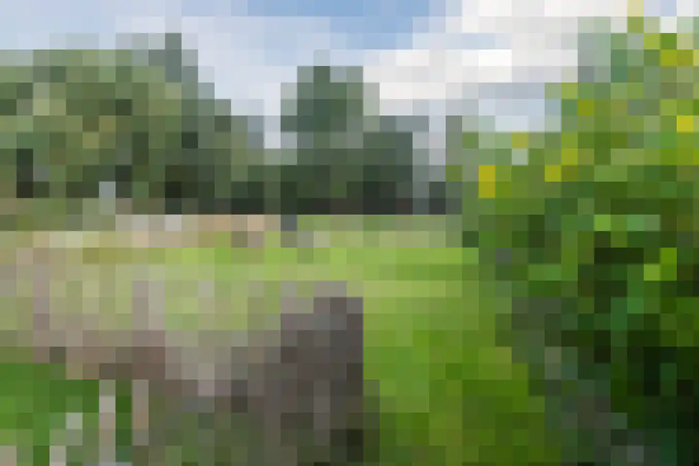 Singel 15 Vreeland thumbnail 39