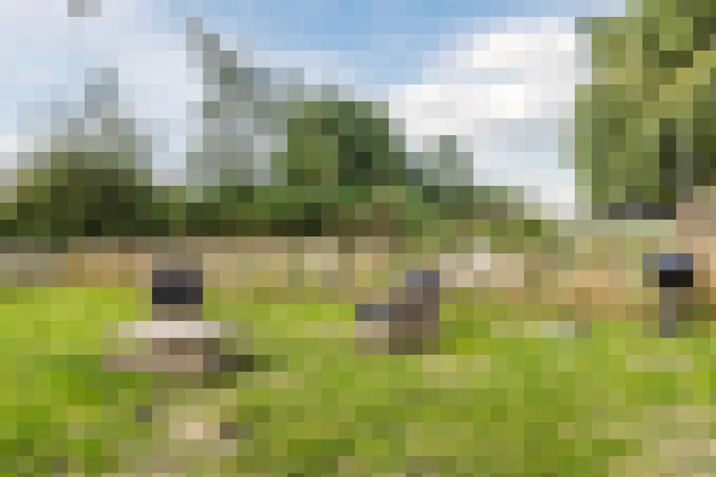 Singel 15 Vreeland thumbnail 41