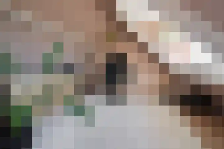 Singel 16 A Bussum thumbnail 25