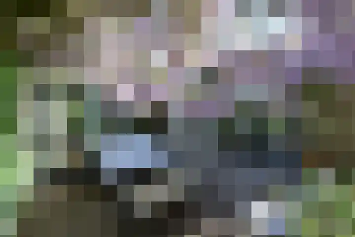 Singel 16 A Bussum thumbnail 27