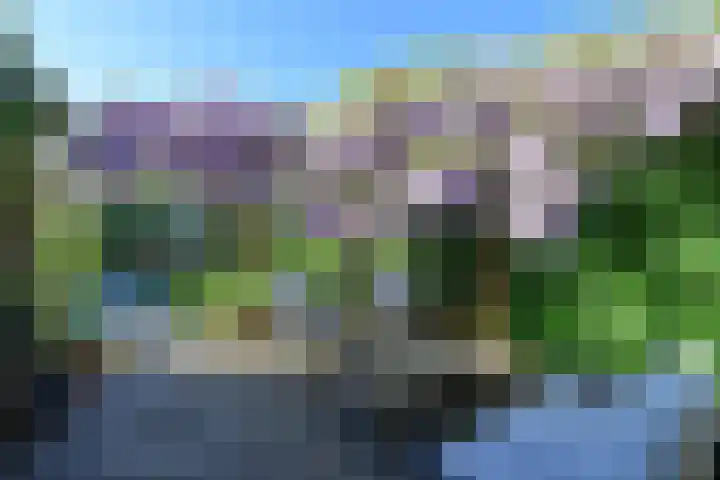 Singel 16 A Bussum thumbnail 28