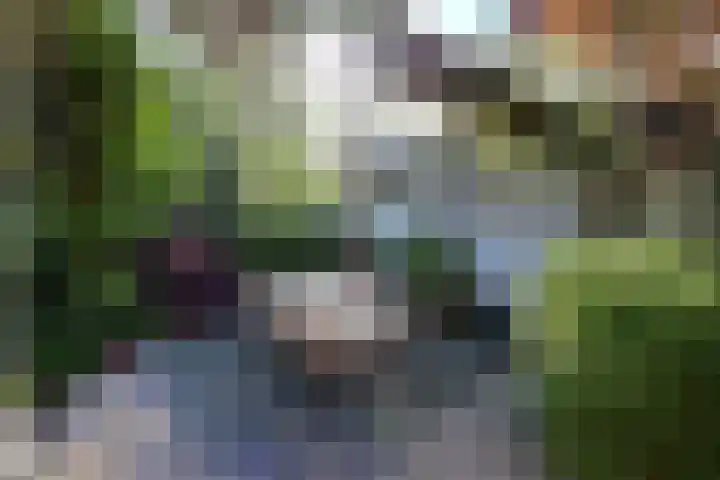 Singel 16 A Bussum thumbnail 29