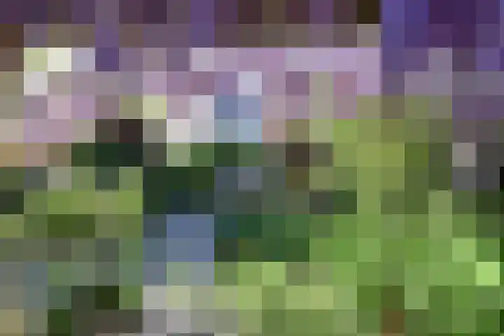 Singel 16 A Bussum thumbnail 31