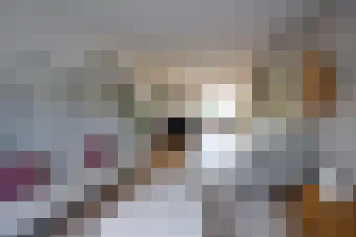 Singel 16 A Bussum thumbnail 4
