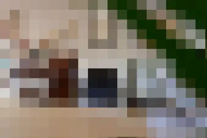 Singel 16 A Bussum thumbnail 5