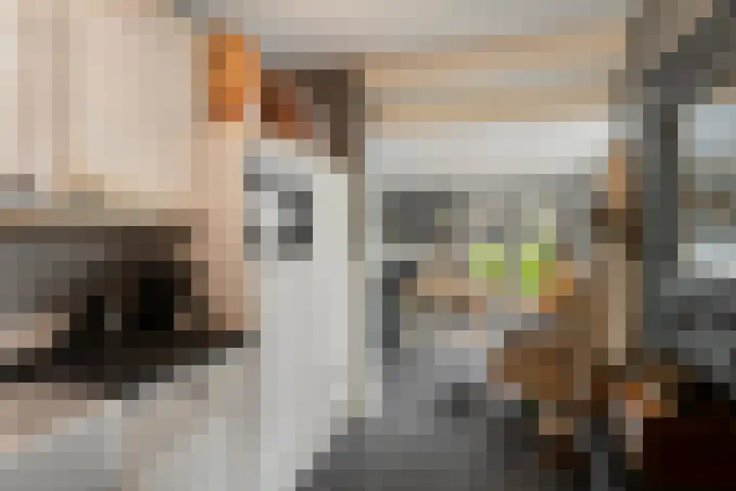 Singel 16 't Harde thumbnail 24