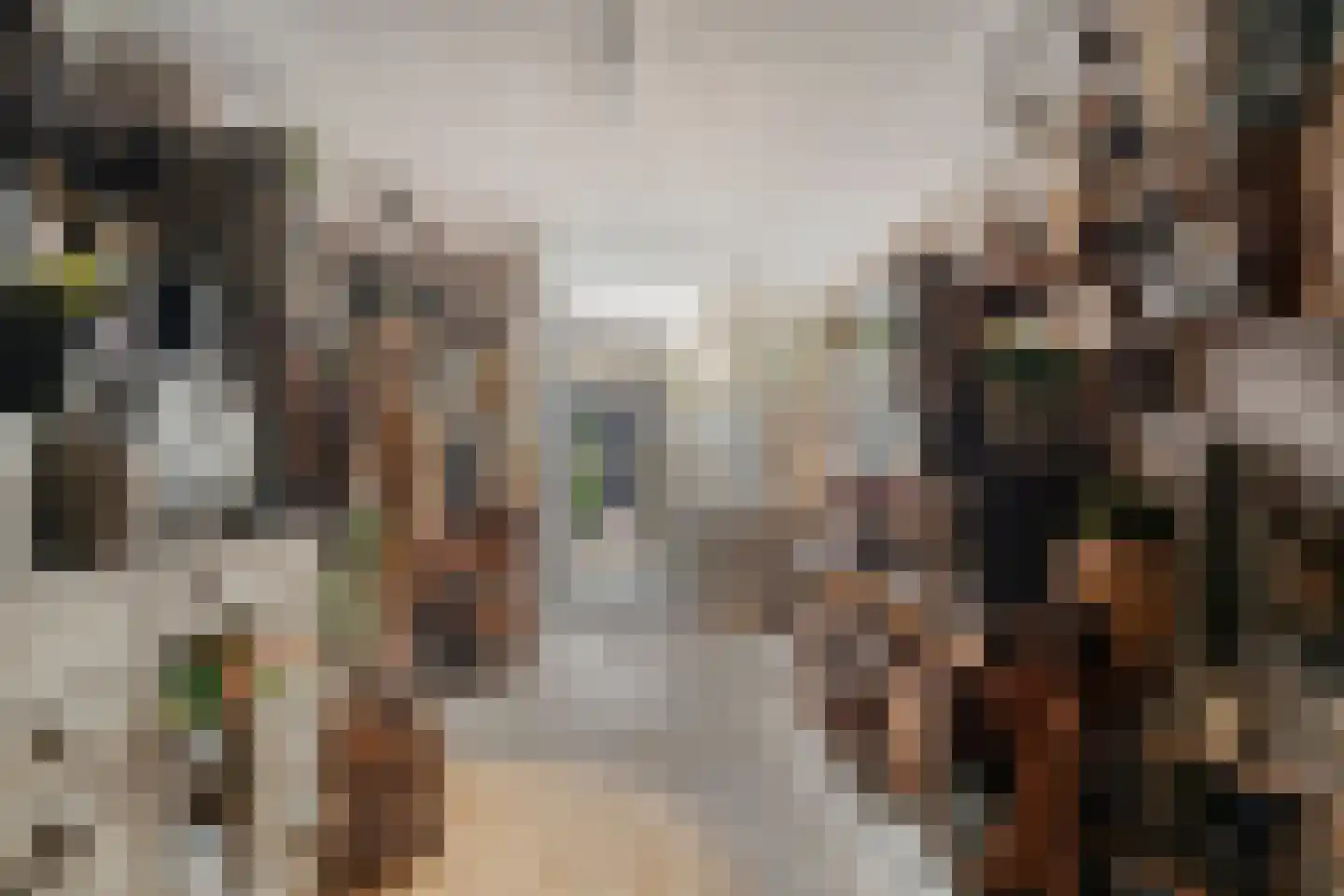 Singel 16 't Harde thumbnail 30