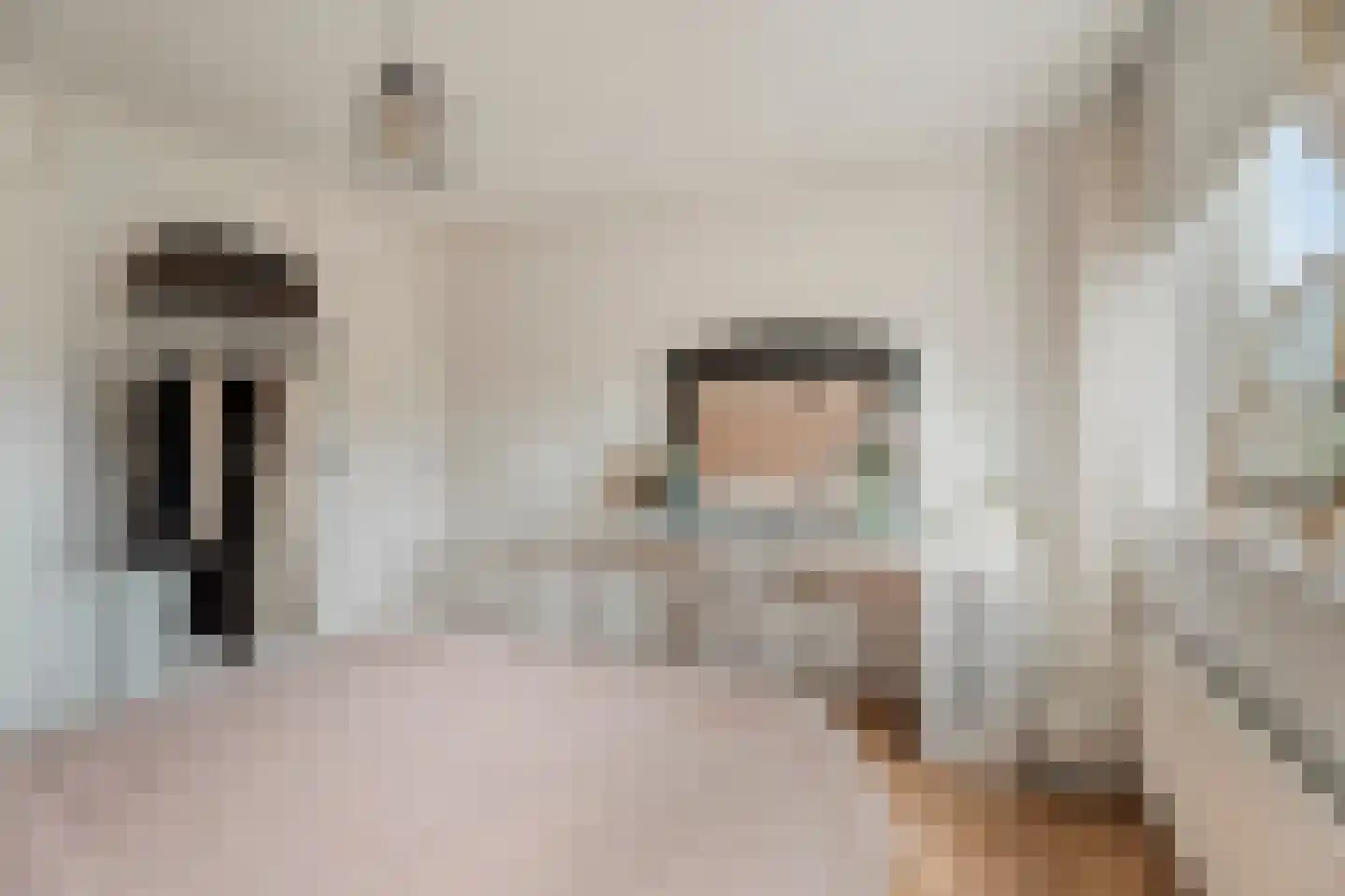 Singel 16 't Harde thumbnail 33