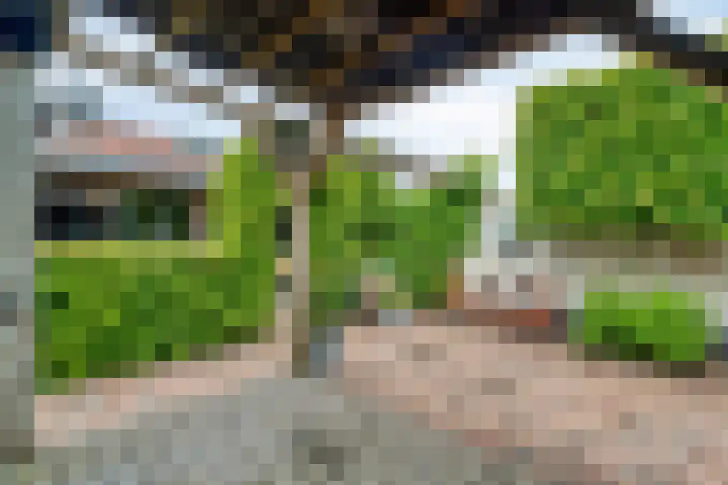 Singel 16 't Harde thumbnail 4