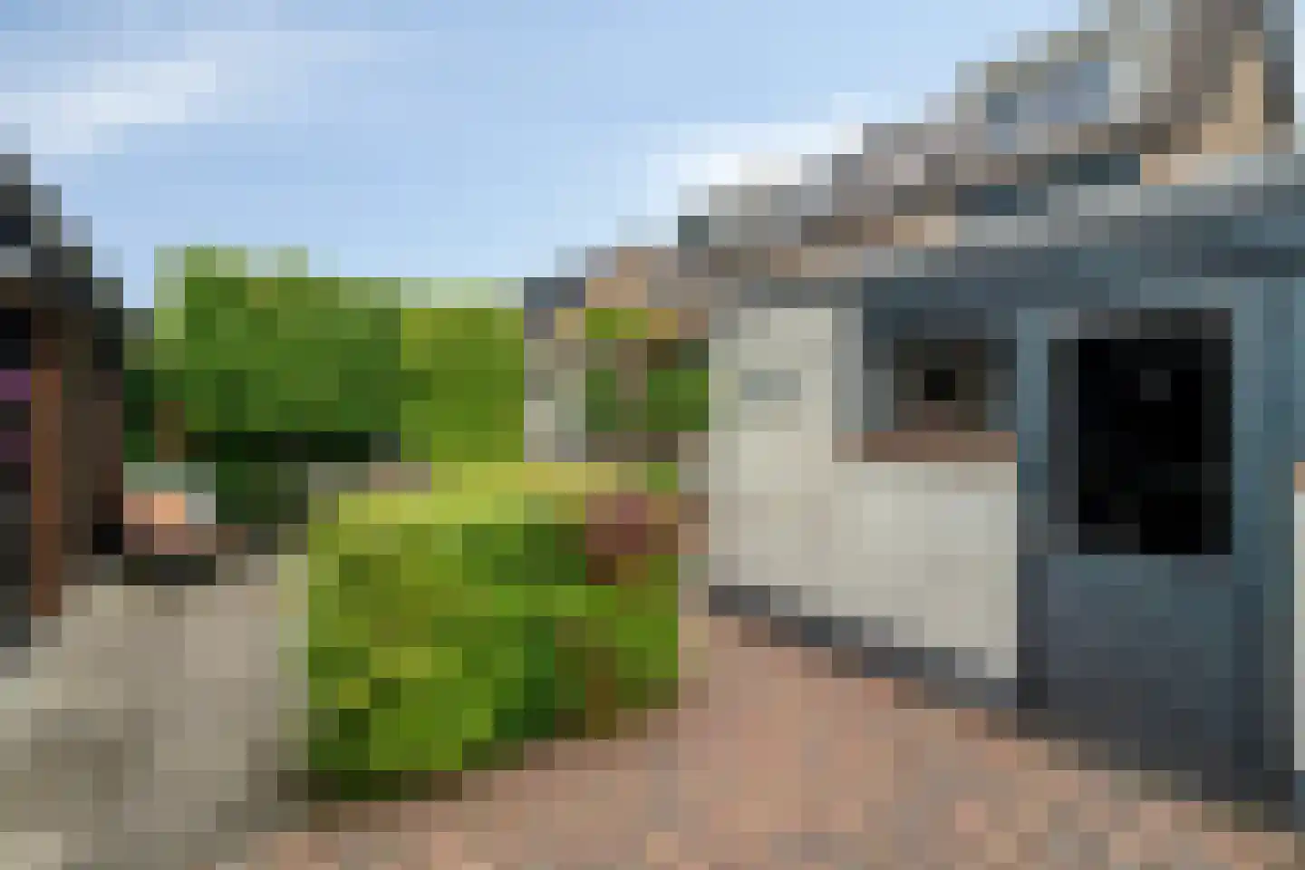 Singel 16 't Harde thumbnail 45