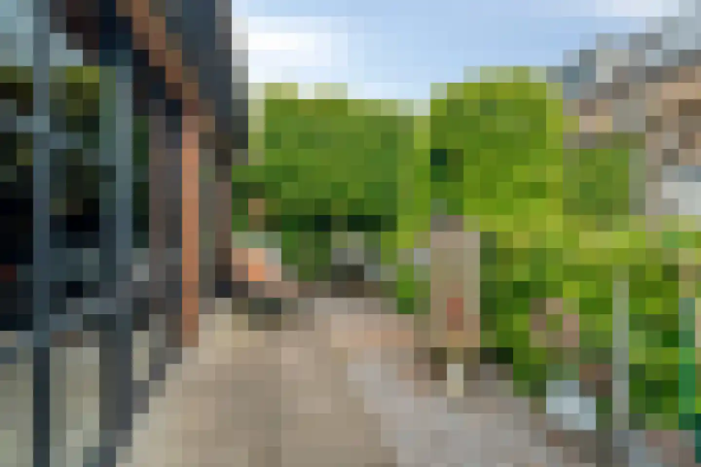 Singel 16 't Harde thumbnail 46