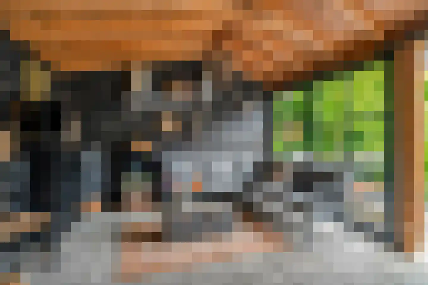 Singel 16 't Harde thumbnail 5