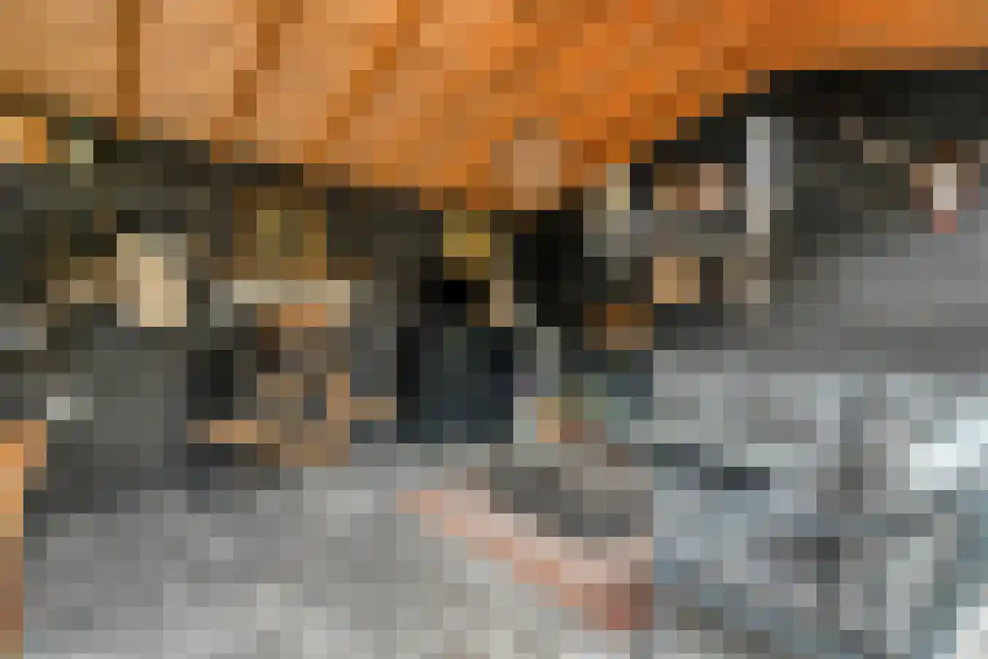 Singel 16 't Harde thumbnail 55