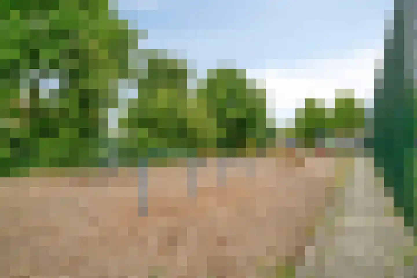 Singel 16 't Harde thumbnail 59