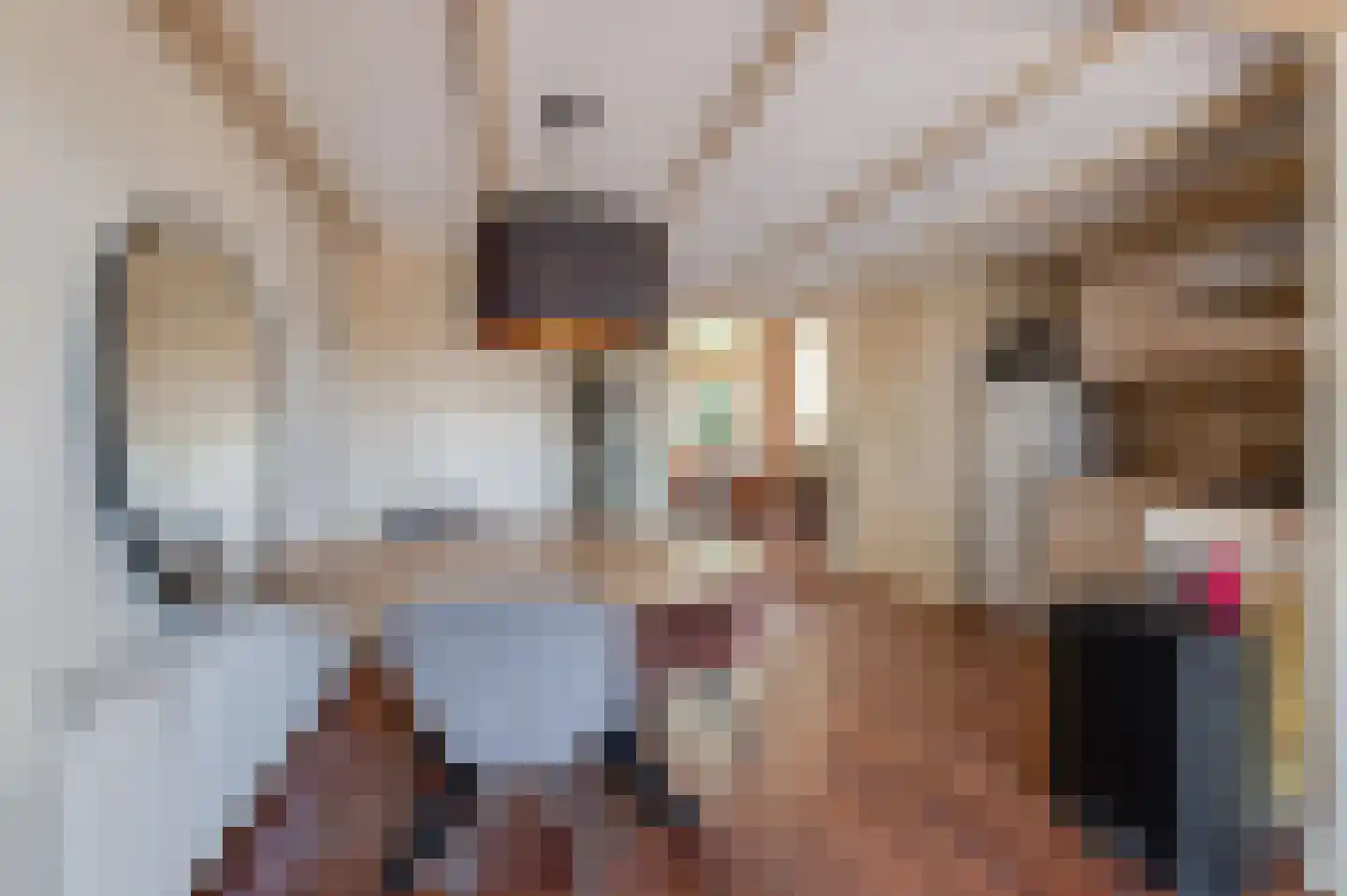 Singel 16 Wijk bij Duurstede thumbnail 10