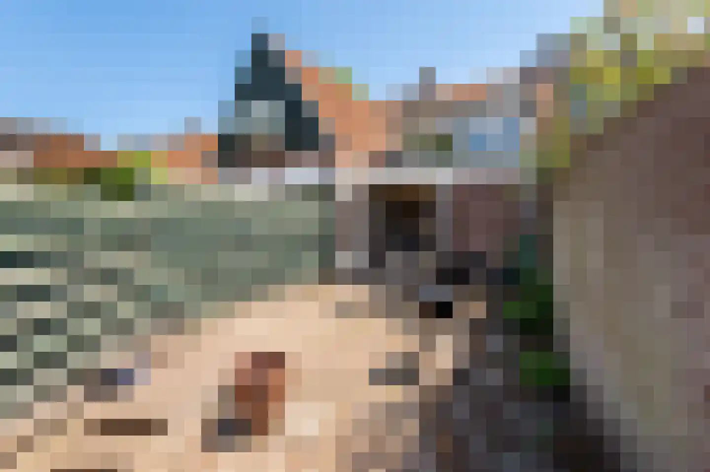 Singel 16 Wijk bij Duurstede thumbnail 15