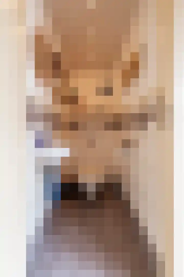 Singel 16 Wijk bij Duurstede thumbnail 17